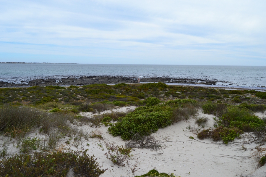 0 Bedroom Property for Sale in Shelley Point Western Cape